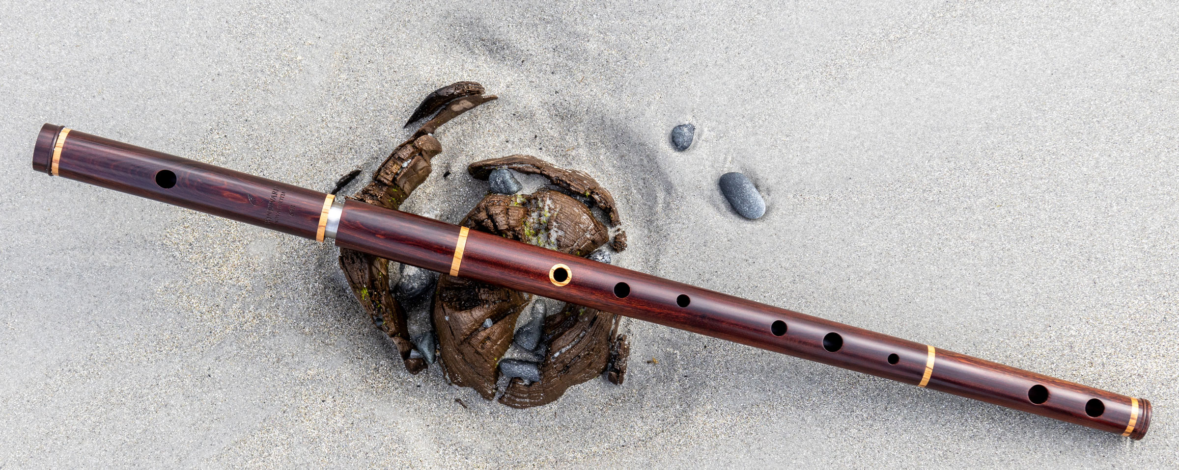 Mopane and African Olive Spot flute laying across a stump of the sunken forest on Cape Sable Island, Nova Scotia