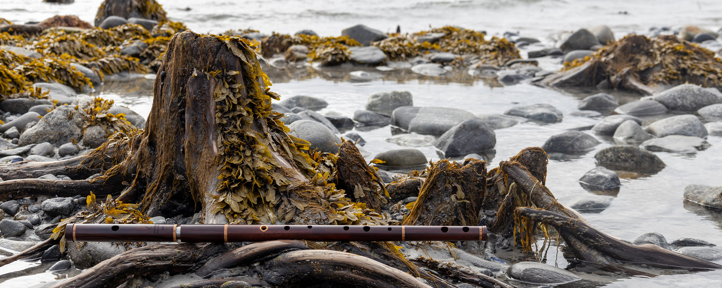 The Different Types of Flutes from Around the World